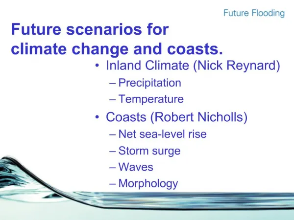 Future scenarios for climate change and coasts.