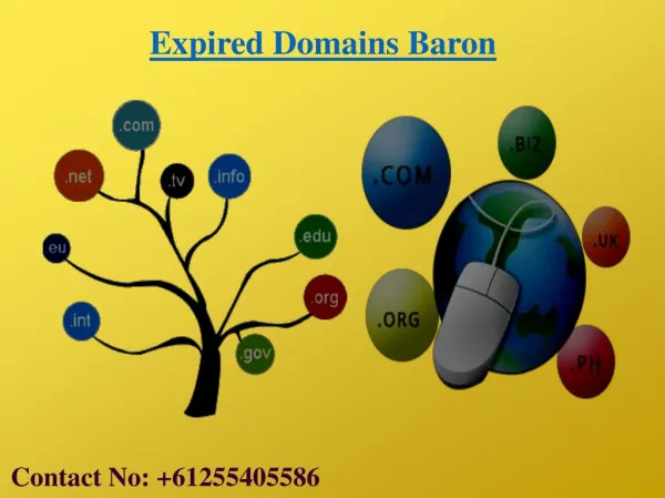 High PR Expired Domain Names Are Avalible At EXPIRED DOMAINS BARON