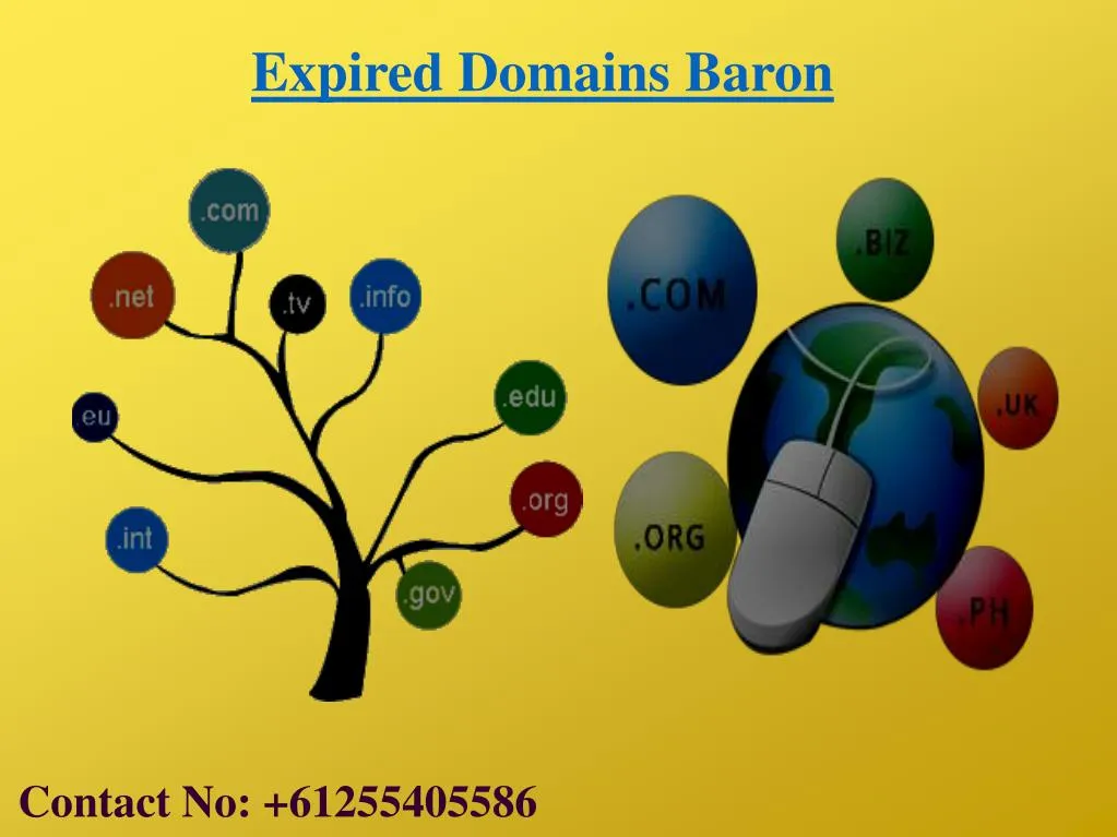 expired domains baron