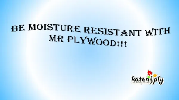 Be moisture resistant with MR Plywood!!!