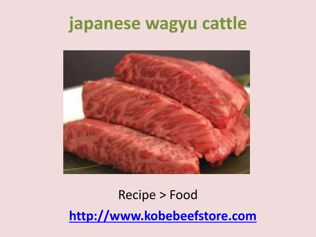 japanese wagyu cattle