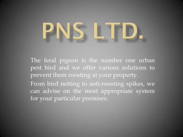 Pigeon Netting Suppliers