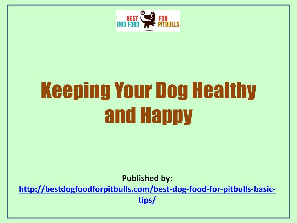 keeping your dog healthy and happy