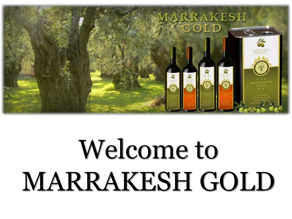 welcome to marrakesh gold