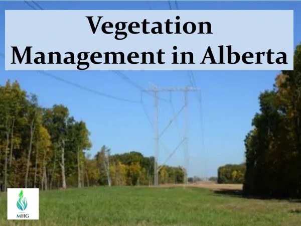 Vegetation Management in Alberta