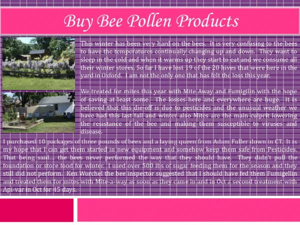 Buy Bee Pollen Products