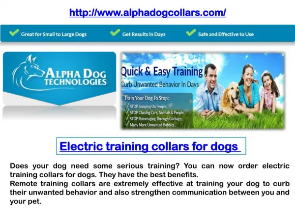 Electric Training Collars for dogs