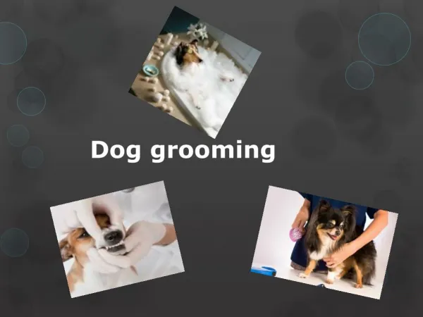 Dog grooming