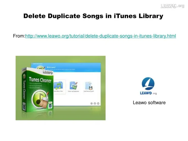 Delete Duplicate Songs in iTunes Library