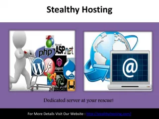 Cheap Dedicated Server- Stealthy Hosting - slide 1