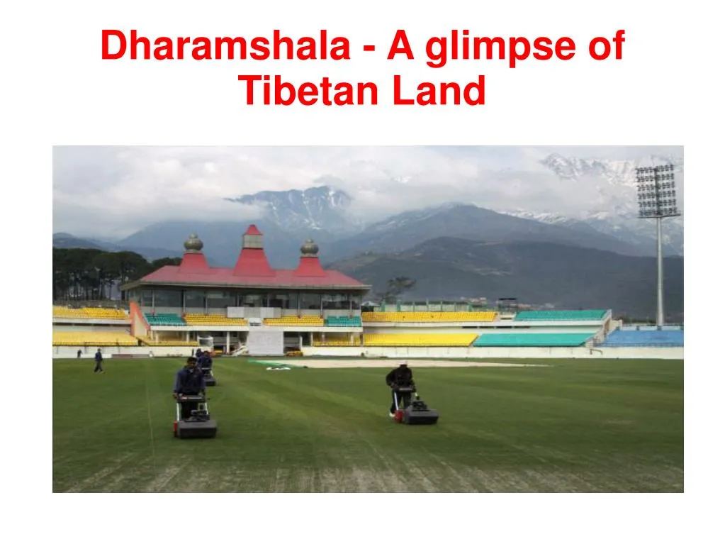 dharamshala a glimpse of tibetan land