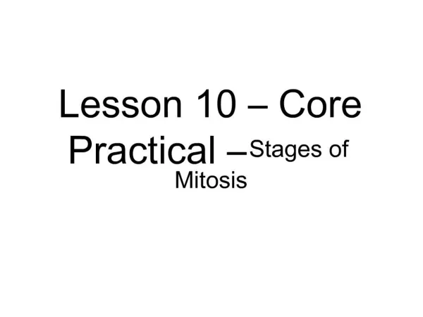 Lesson 10 Core Practical Stages of Mitosis