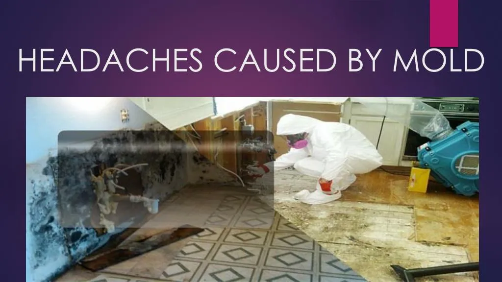 headaches caused by mold