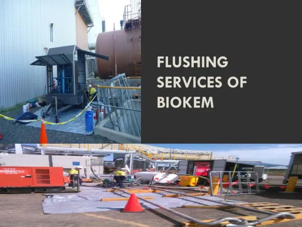 FLUSHING SERVICES of Biokem