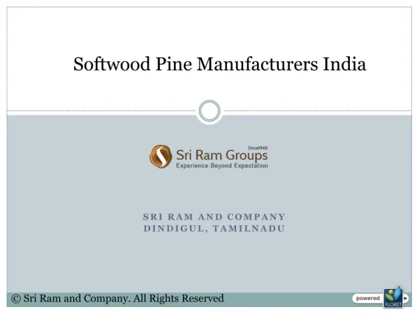 Softwood Pine Manufacturers India
