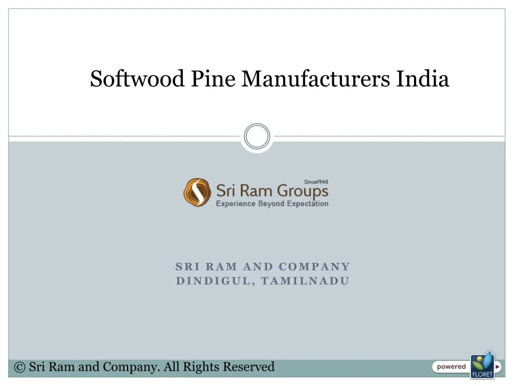 softwood pine manufacturers india