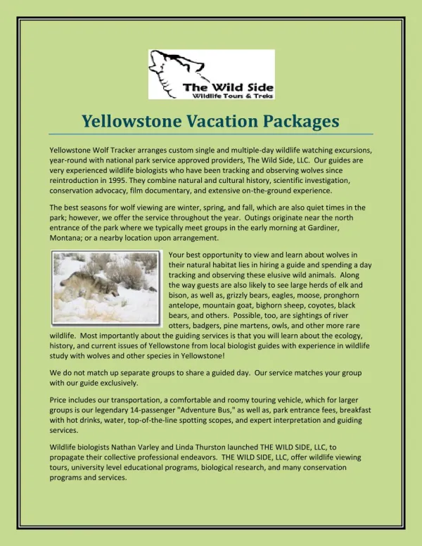 Yellowstone Vacation Packages