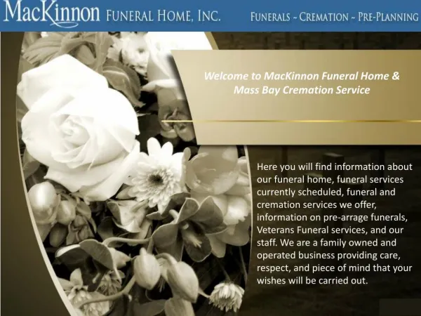 Pet Cremation Boston