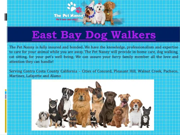 East Bay Dog Walkers