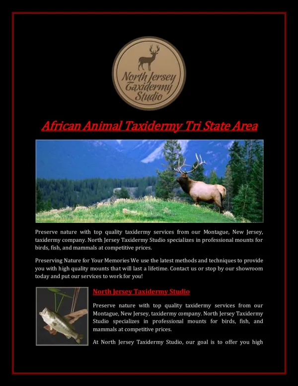 African Animal Taxidermy Tri State Area