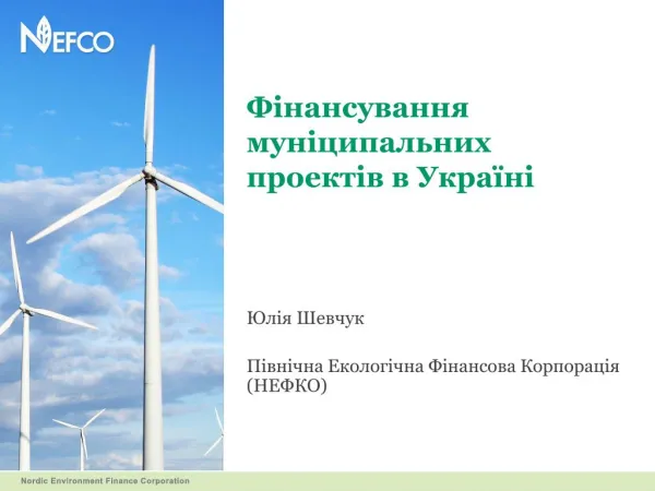 Фінансування муніципальних проектів в Україні