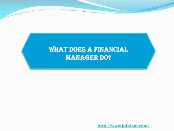 What does a Financial Manager