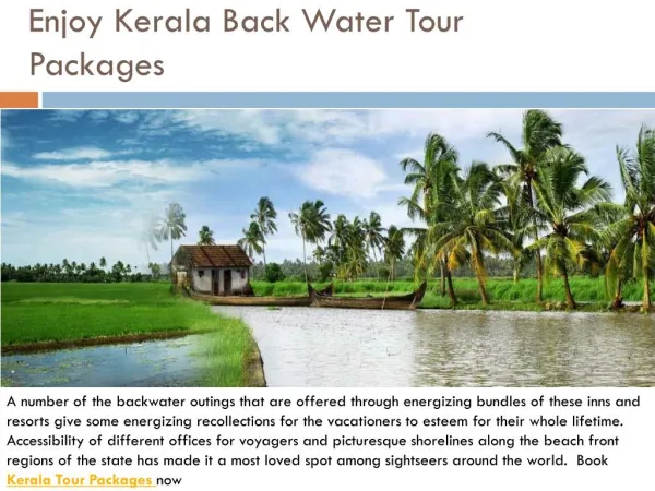 Enjoy kerala back water tour packages