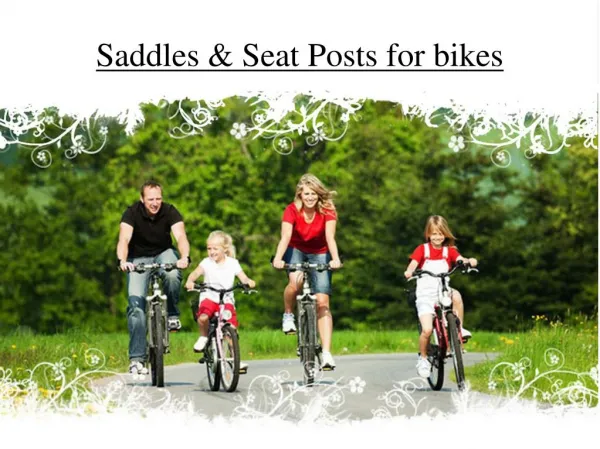 Saddles & Seat Posts for bikes