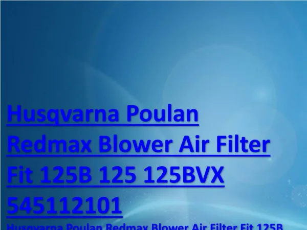 Husqvarna Poulan Redmax Blower Air Filter Fit 125B 125 125BVX 545112101