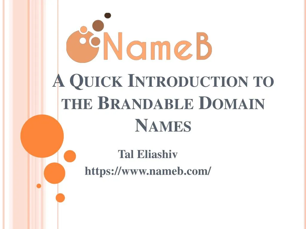 a quick introduction to the brandable domain names