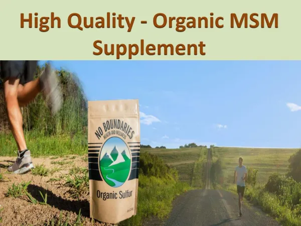 High Quality - Organic MSM Supplement