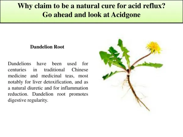 Why claim to be a natural cure for acid reflux? Go ahead and look at acidgone