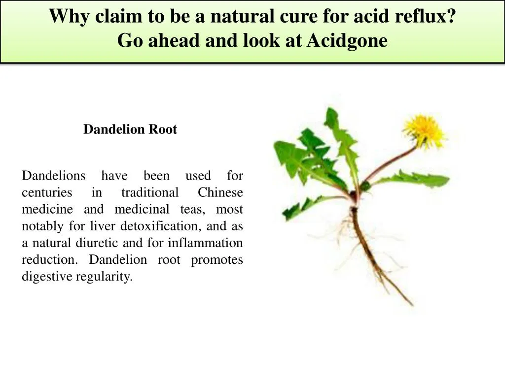 why claim to be a natural cure for acid reflux go ahead and look at acidgone