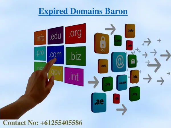 Find And Buy Expired Domains At EXPIRED DOMAINS BARON