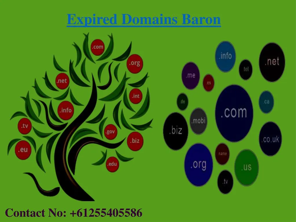expired domains baron