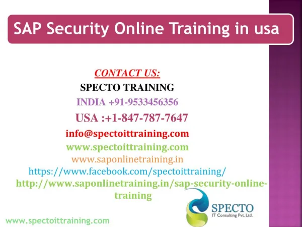 sap security online training in usa