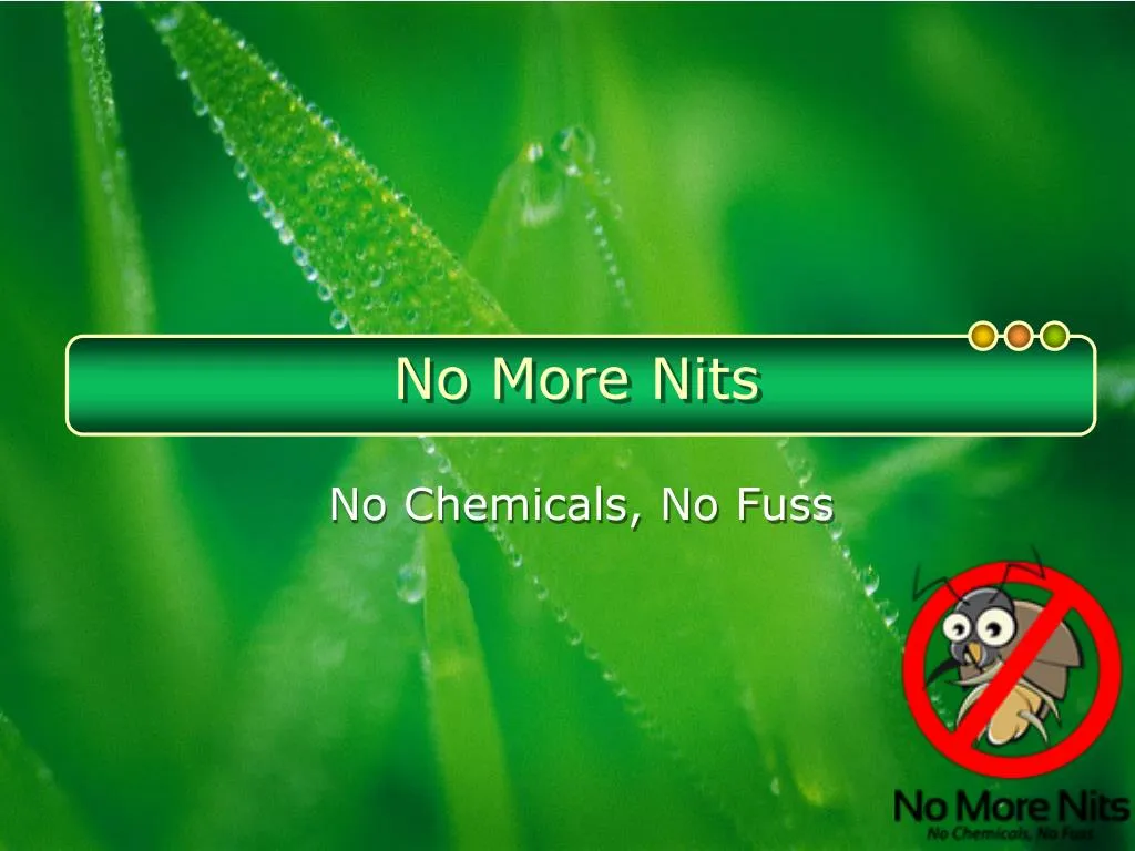 no more nits