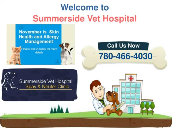 Edmonton Animal Hospital - Pets Skin Health and Allergy Treatment