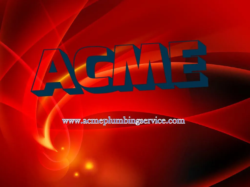 www acmeplumbingservice com