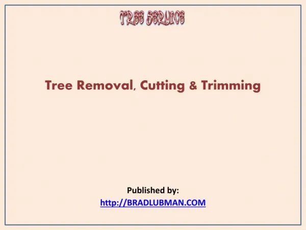 Tree Services-Tree Removal