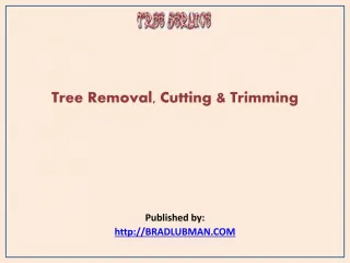 Tree Services-Tree Removal - slide 1