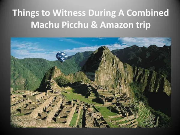 Things to Witness During A Combined Machu Picchu & Amazon trip