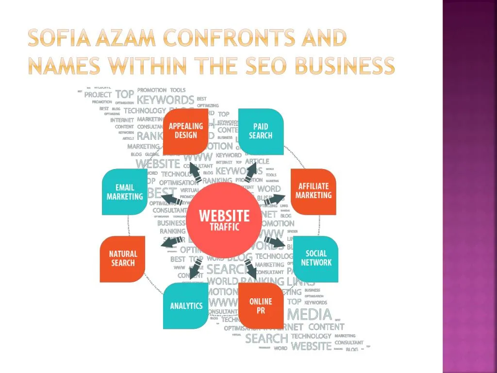 sofia azam confronts and names within the seo business