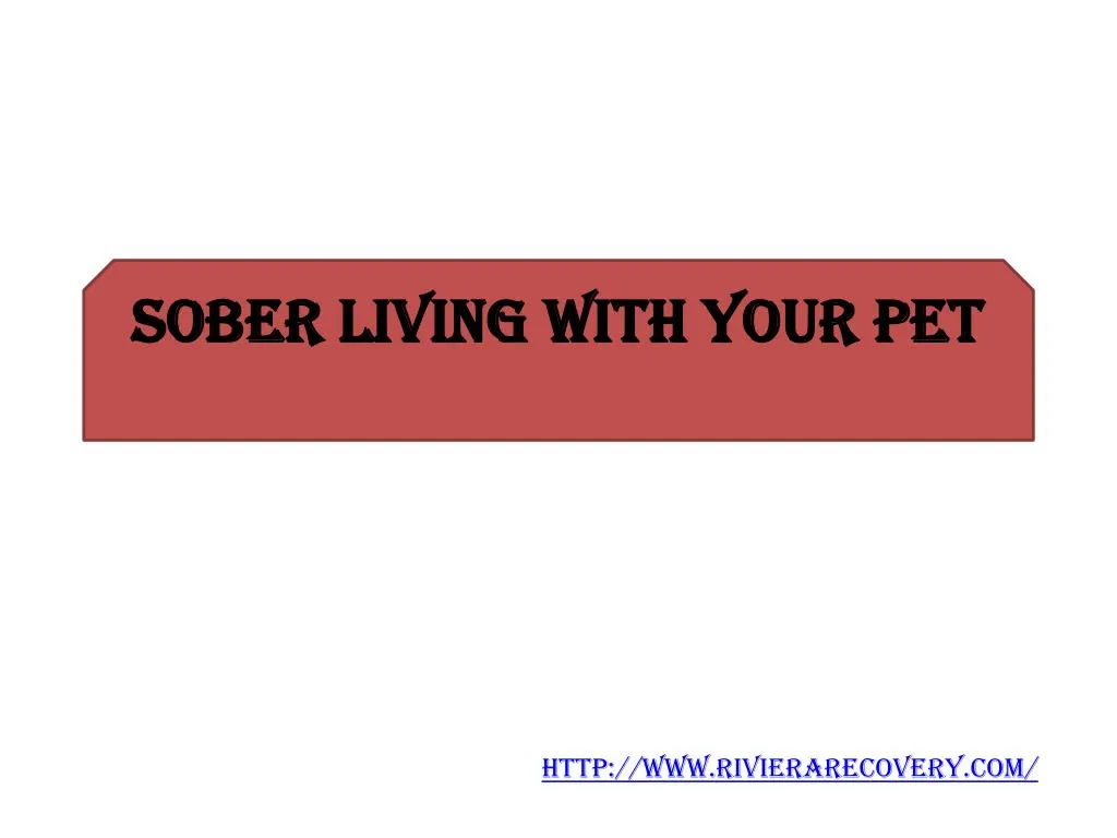 sober living with your pet