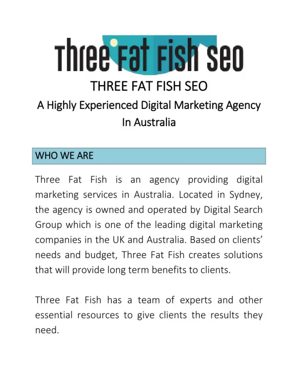 Work With Three Fat Fish SEO and Increase Your Brand's Online Visibility