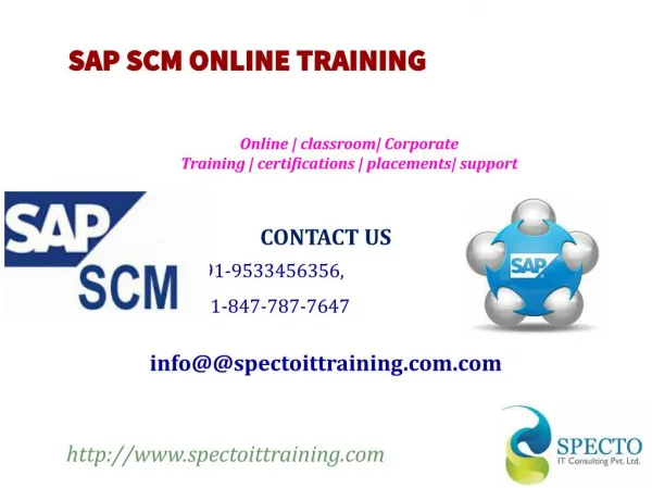 SAP SCM ONLINE TRAINING IN SOUTH AFRICA