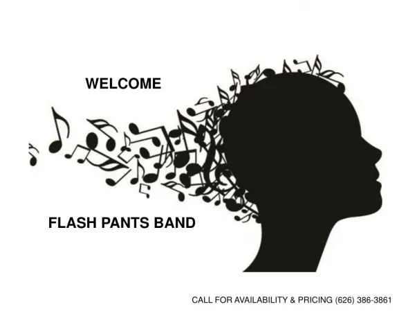 Highest Rated Wedding Flash Pants Band