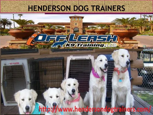 Henderson Dog Training