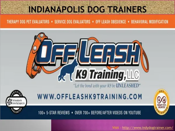 Indianapolis dog training