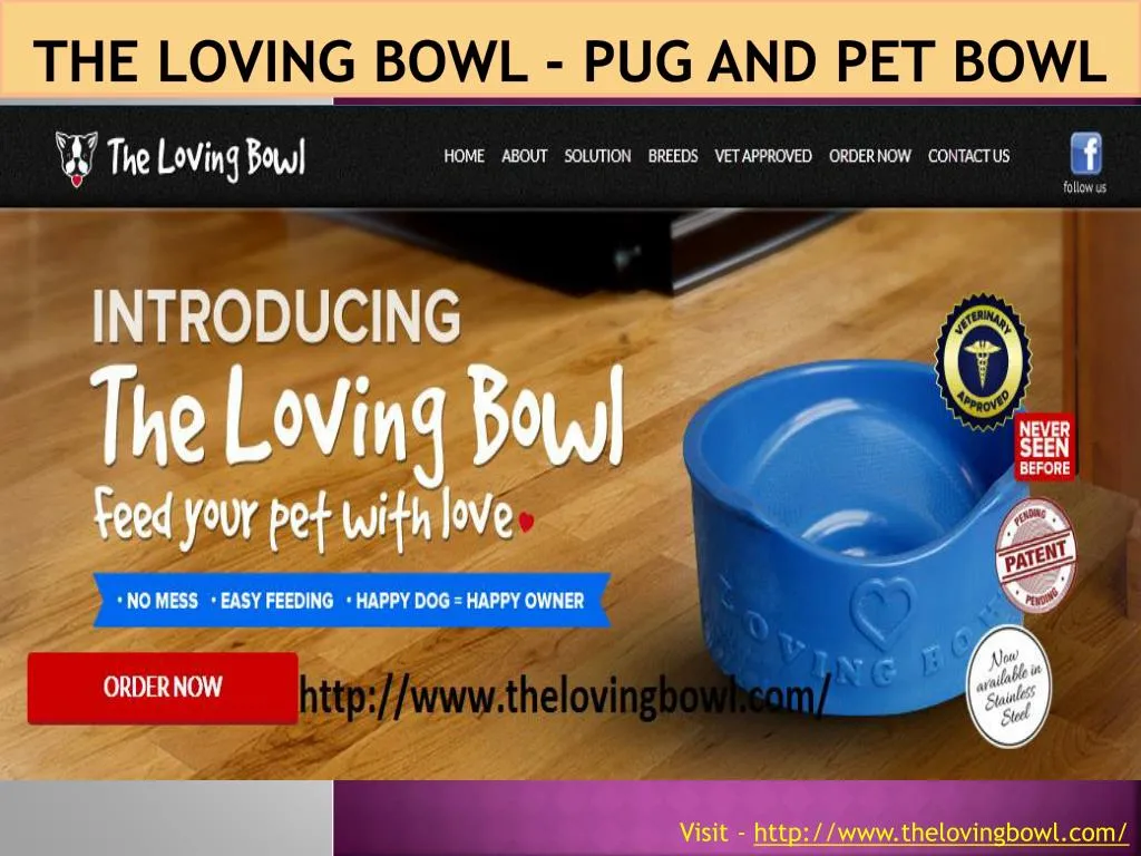 the loving bowl pug and pet bowl